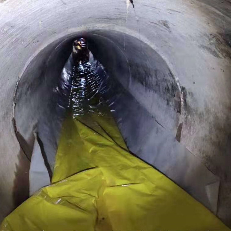 醴陵管道光固化修复